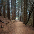 Veľká Fatra