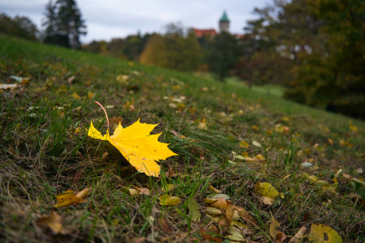 Pod Smolenickým zámkom
