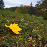 Pod Smolenickým zámkom