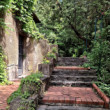 Schody k atelieru