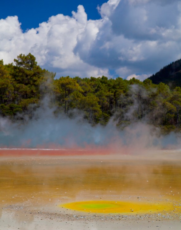 Champagne Pool