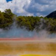 Champagne Pool