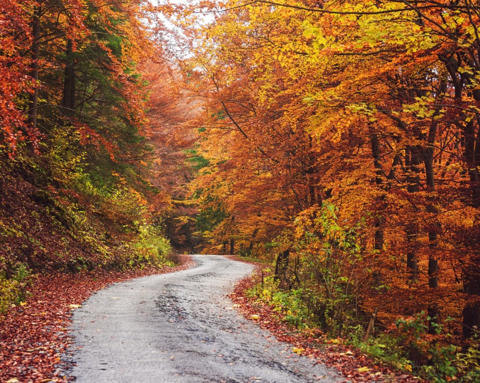 Stráňavská Dolina, Malá Fatra