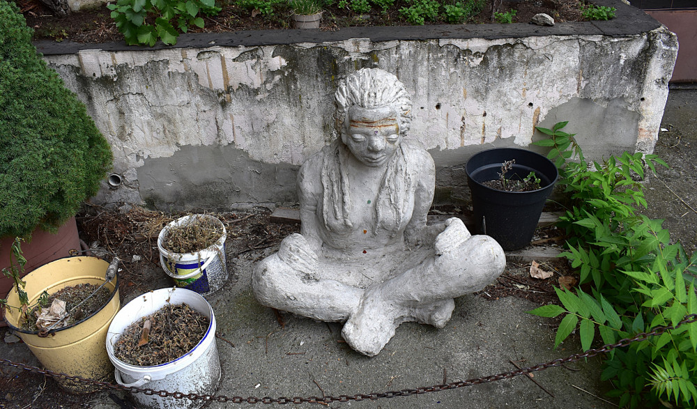 Asana