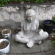 Asana