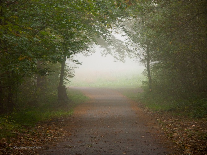 ... misty gate ...