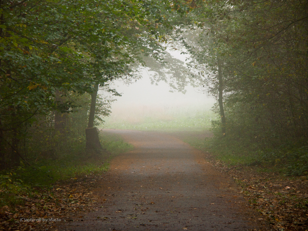 ... misty gate ...