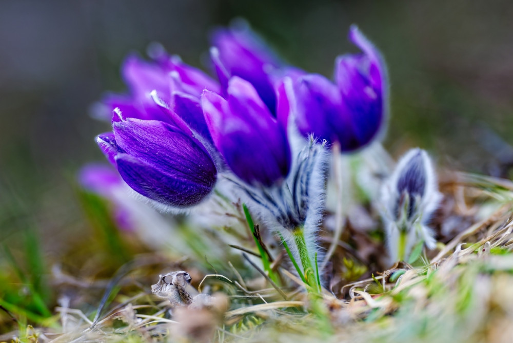 ... rodinka jari ...