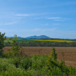 Karpatský hrebeň