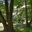 Kamenný park