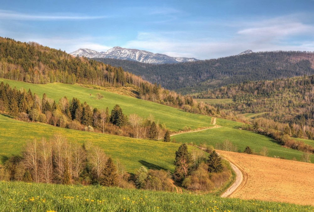 Podvečer na Ostrvke