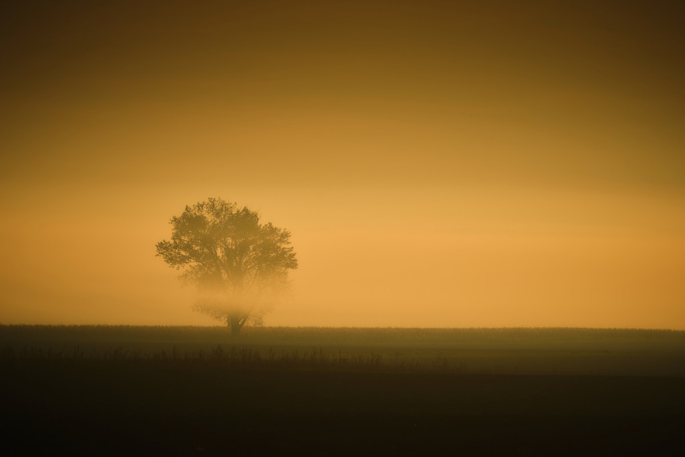 Jedno hmlisté ráno.