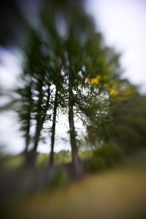 Lensbaby
