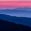 Pink sky