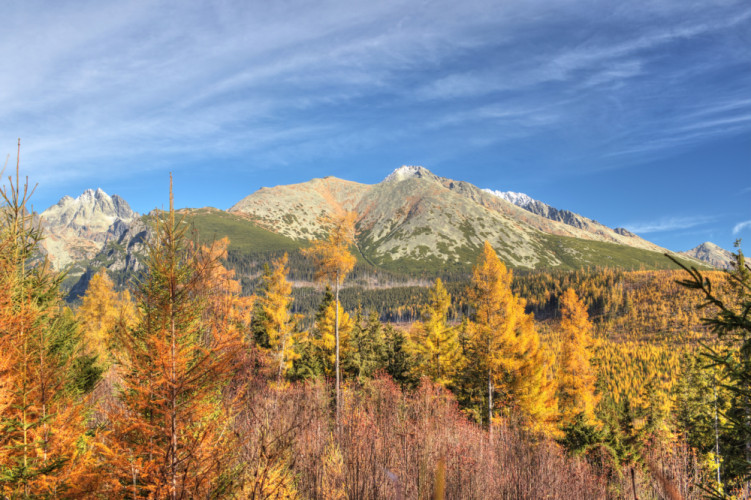 Tatry