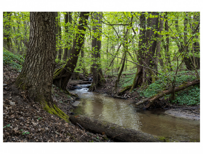 Kučišdorfská dolina, Pezinok