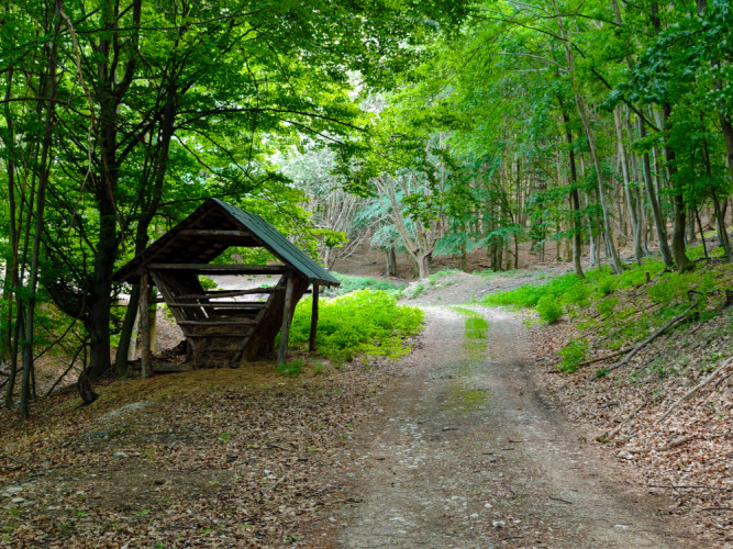 Malé Karpaty