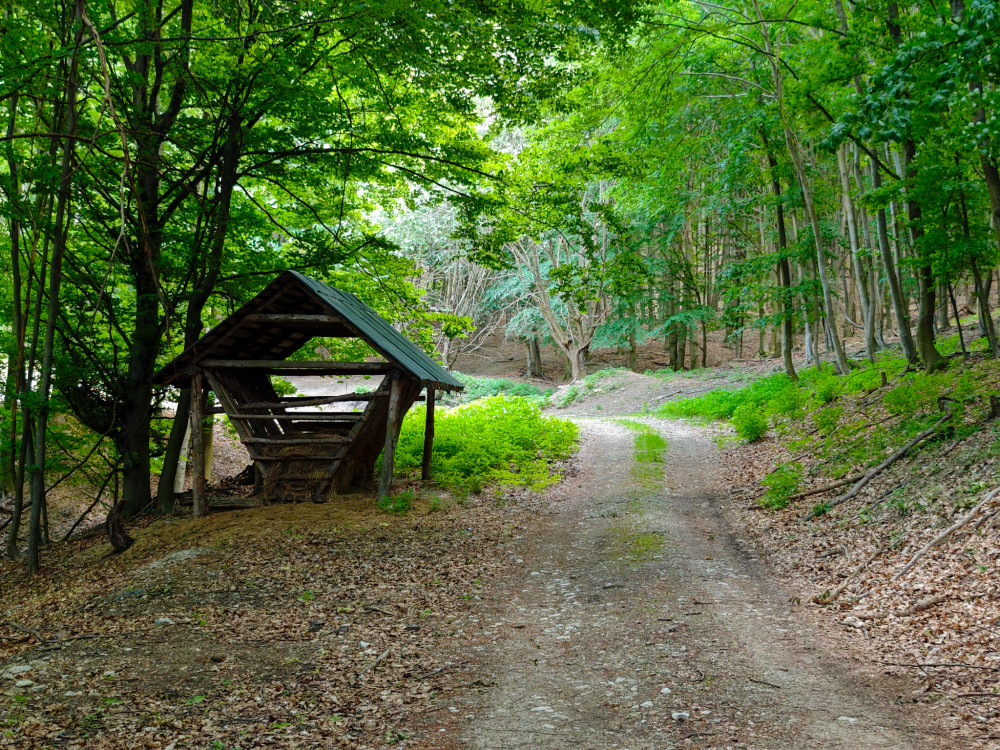 Malé Karpaty