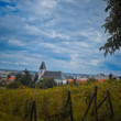 Račianske vinohrady