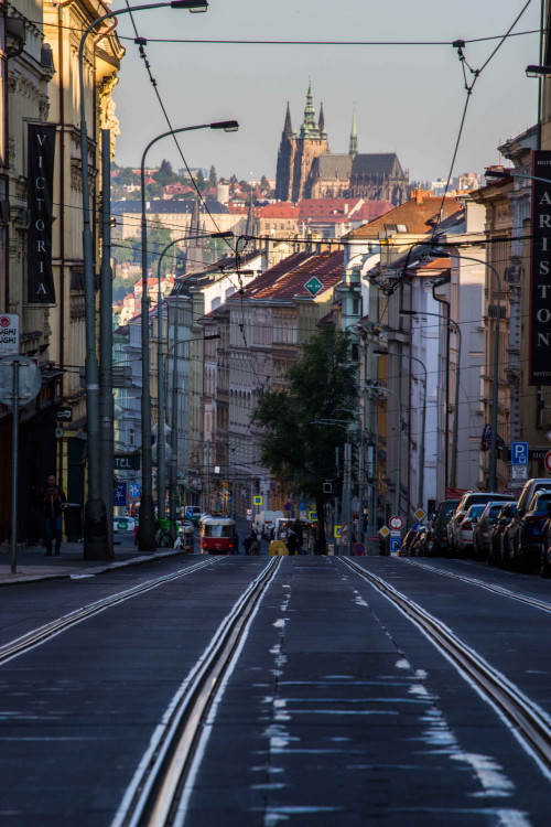 žižkov