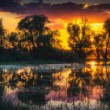 Morava