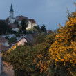 Večerný Mikulov