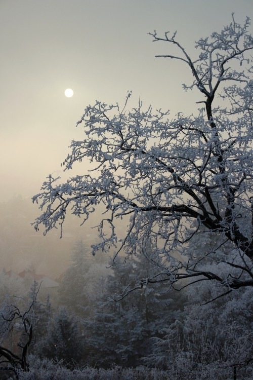 Mrazenie na Hausbergu