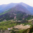 Roháče