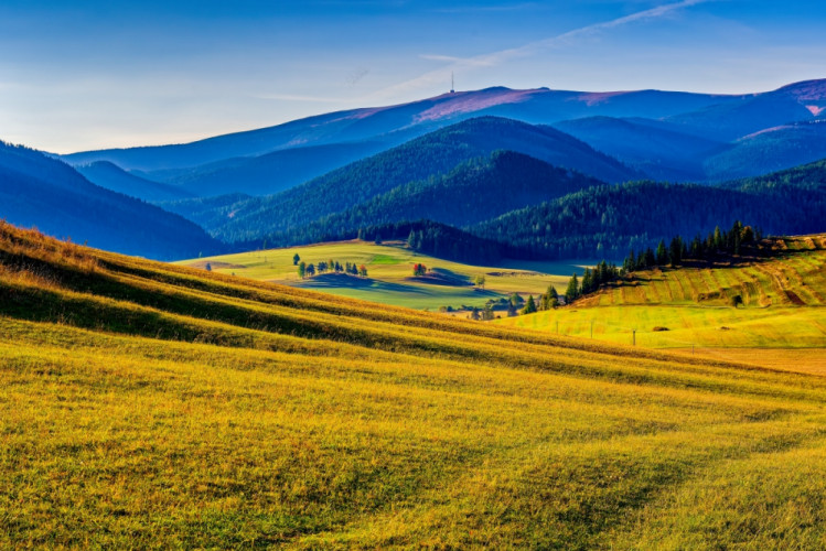 ... dobré ráno Slovensko ...