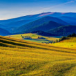 ... dobré ráno Slovensko ...