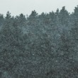 Let it snow!