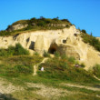 Sandberg