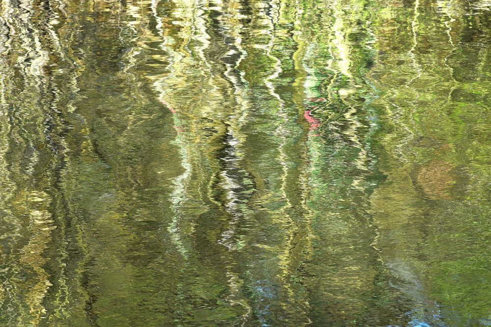 Reflexy 2