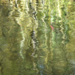 Reflexy 2