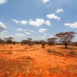 Tsawo east - Kenya