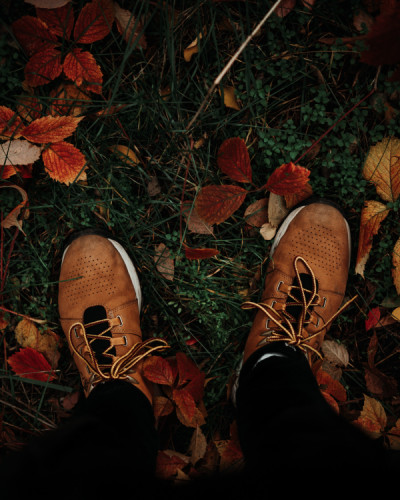 Jesenná Prechádzka