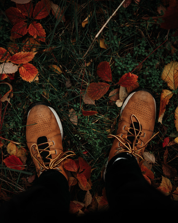 Jesenná Prechádzka