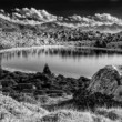 pleso