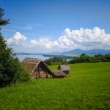 Havranok
