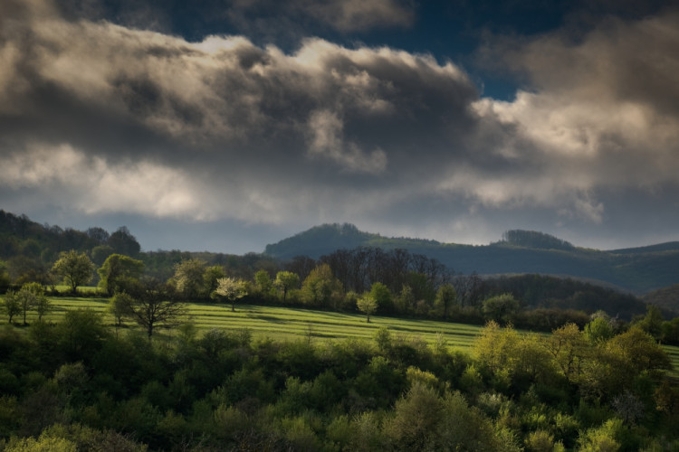 Jarná krajina.
