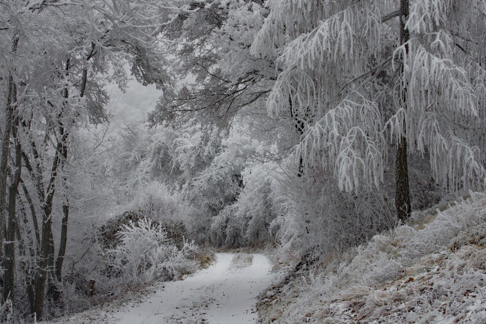 Kopanice nad Sobotišťom