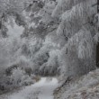 Kopanice nad Sobotišťom