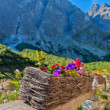 Chata pri zelenom plese a Tatry