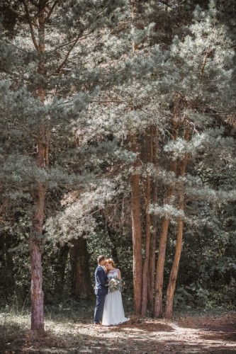 B+V fairytale
