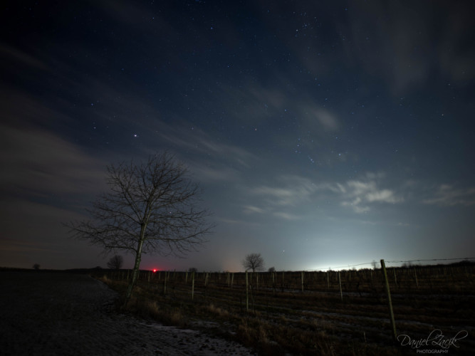 Nočný pohľad na vinohrad