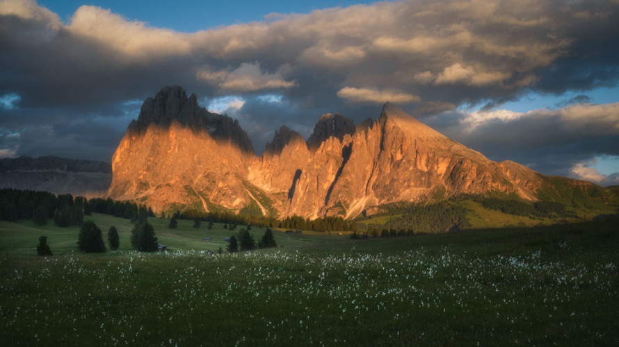 Alpe di Siusi