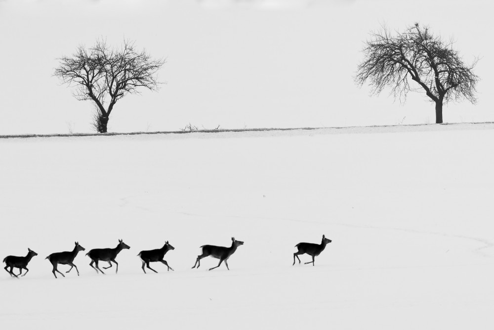 Krajinotvorné prvky