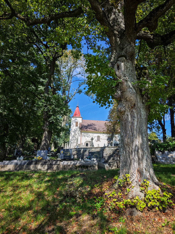 Trstín - Hajiček