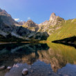 Reflexia