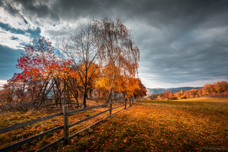 Behind the fence